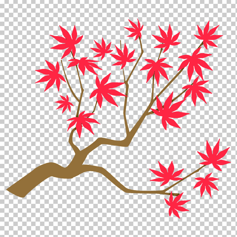 Maple Branch Maple Leaves Autumn Tree PNG, Clipart, Autumn, Autumn Tree, Black Maple, Fall, Flower Free PNG Download