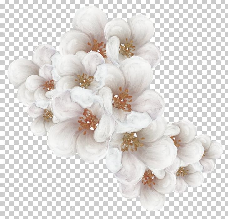 Cherry Blossom Flower PNG, Clipart, Blossom, Blossoms, Branch, Cherry, Flowers Free PNG Download