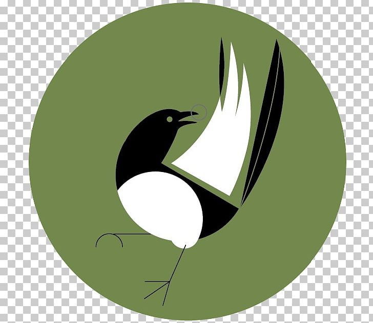 Eurasian Magpie PNG, Clipart, Art, Beak, Bird, Blackbilled Magpie, Crow Family Free PNG Download