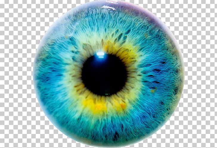 Iris Eye Color Human Eye PNG, Clipart, Analytics, Blue, Circle, Closeup, Color Free PNG Download