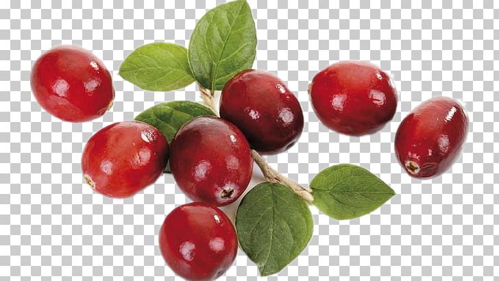 Lingonberry Dietary Supplement Cranberry Superfood PNG, Clipart, Berry, Capsule, Cherry, Cranberry, Currant Free PNG Download