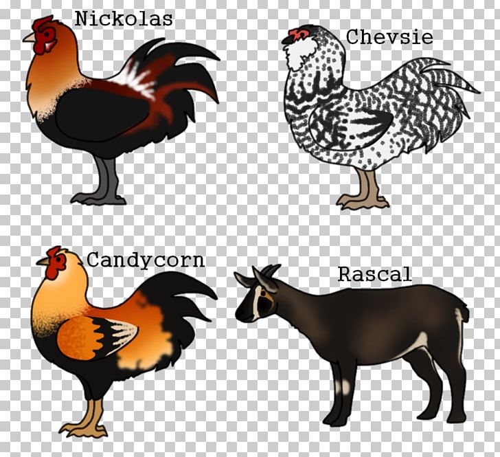 Rooster Fauna Beak Chicken As Food PNG, Clipart, Ardagh Hoard, Beak, Bird, Chicken, Chicken As Food Free PNG Download