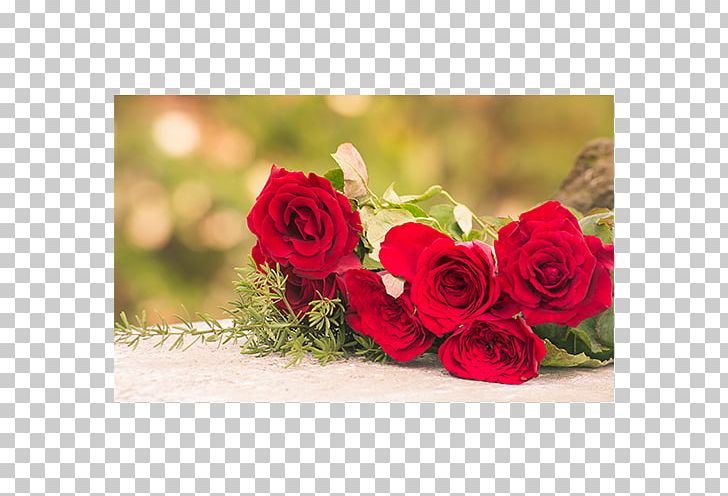 Garden Roses Cut Flowers Cabbage Rose Floral Design PNG, Clipart, Artificial Flower, Cut Flowers, Floral Design, Floristry, Flower Free PNG Download