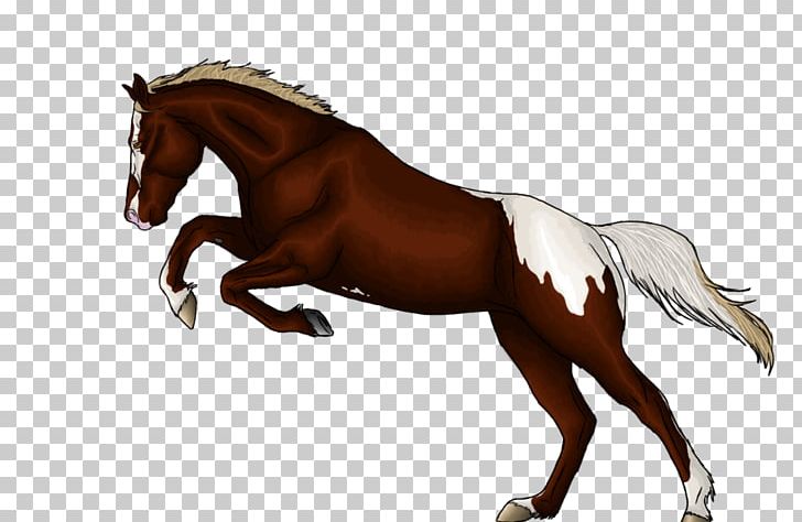 Mane Mustang Stallion Foal Mare PNG, Clipart, Bit, Bridle, English Riding, Equestrian, Equestrianism Free PNG Download