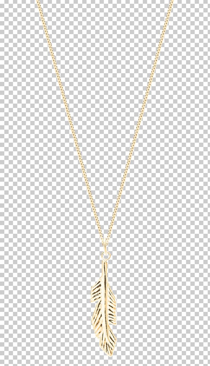 Necklace Texas Metal Locket Chain PNG, Clipart, Brushed Metal, Chain, Diploma, Fashion, Fruit Free PNG Download