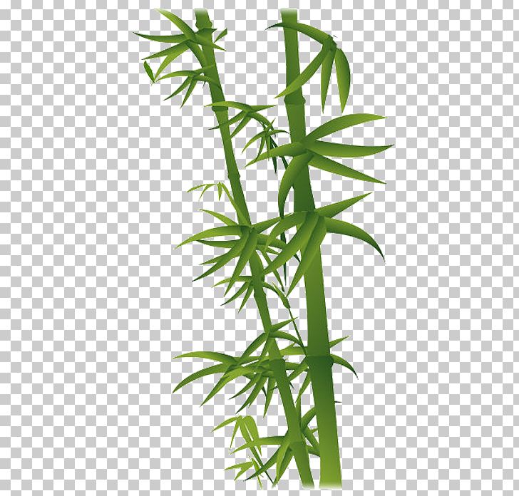 Bamboo Bamboe PNG, Clipart, Bam, Bamboe, Bamboo Border, Bamboo Frame, Bamboo Leaf Free PNG Download