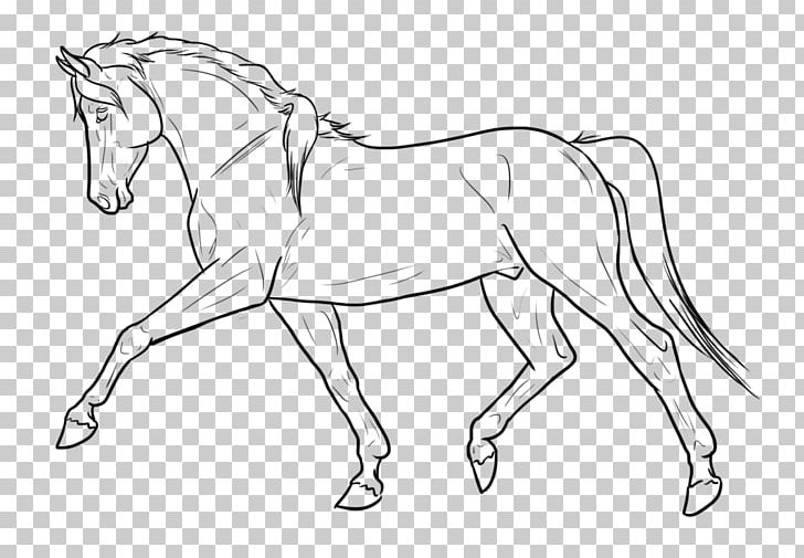 Horse Line Art Drawing PNG, Clipart, Animals, Arm, Art, Artwork, Black And White Free PNG Download