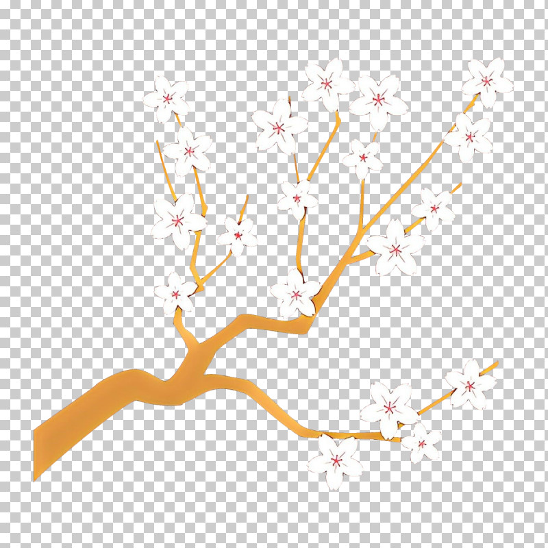 Branch White Twig Tree Plant PNG, Clipart, Branch, Plant, Tree, Twig, White Free PNG Download