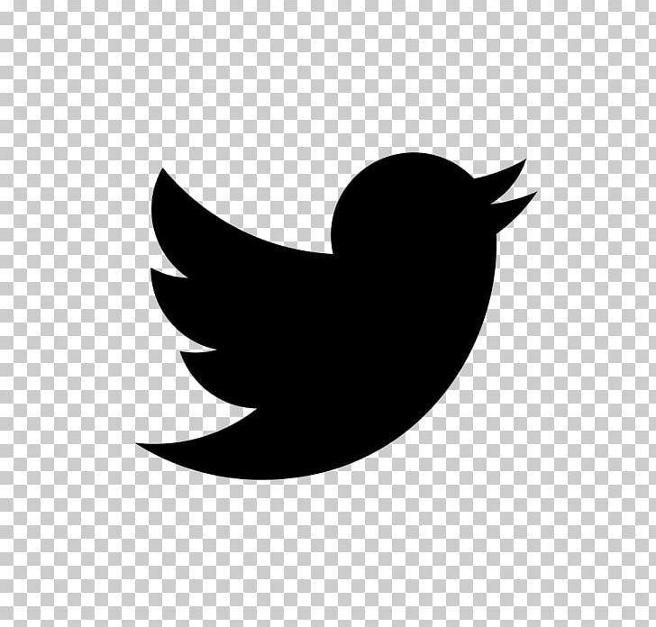 Black And White TIFF Twitter PNG, Clipart, Beak, Bird, Black, Black And White, Black Twitter Free PNG Download