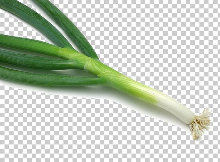 Chinese Cuisine Shallot Vegetable Fruit Scallion PNG, Clipart, Allium Fistulosum, Background Green, Bell Pepper, Chili Pepper, Chinese Cuisine Free PNG Download