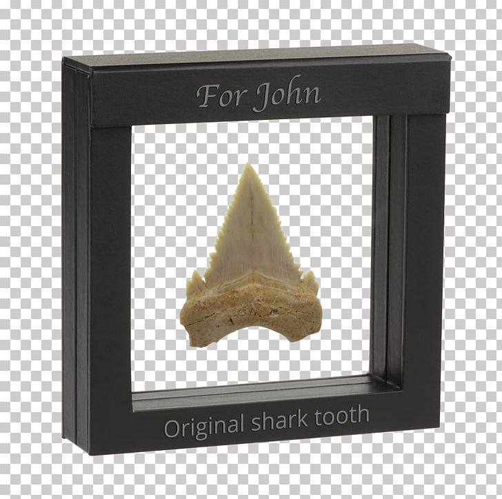 Fossil Shark Tooth Shark Tooth Frames PNG, Clipart, Dinosaur, Food, Fossil, Germany, Gift Free PNG Download