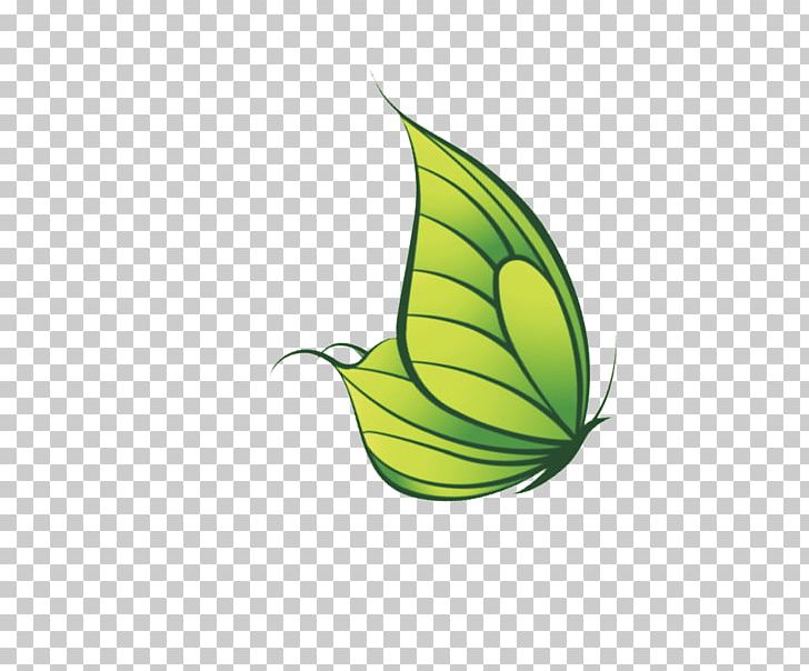 Green Butterfly PNG, Clipart, Blue, Blue Butterfly, Butter, Butterflies, Butterfly Group Free PNG Download