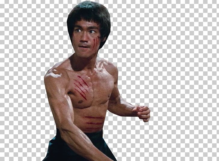 Bruce Lee PNG, Clipart, Abdomen, Actor, Aggression, Arm, Barechestedness Free PNG Download