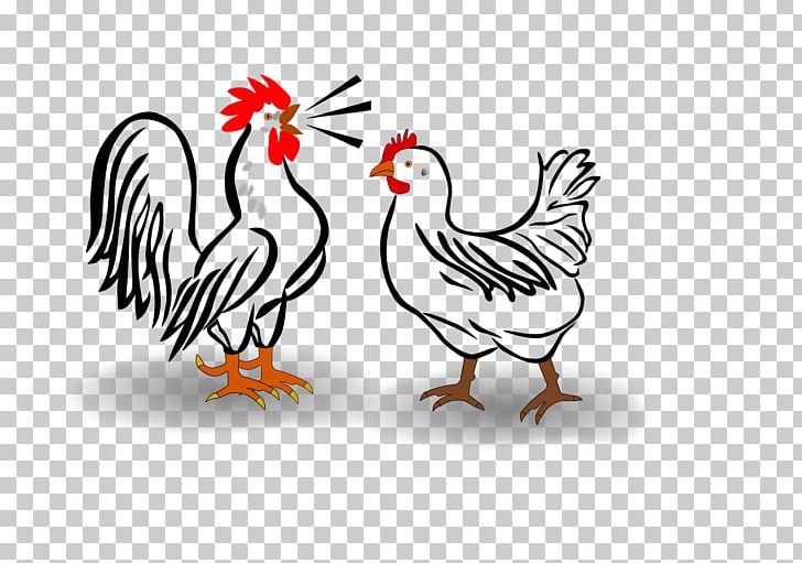 Chicken Rooster PNG, Clipart, Animals, Beak, Bird, Chicken, Download Free PNG Download