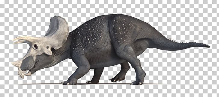 Dinosaur Tyrannosaurus Pentaceratops Einiosaurus Three-Horn: The Adventure Of Triceratops PNG, Clipart, Animal Figure, Art, Ceratopsia, Dinosaur, Einiosaurus Free PNG Download