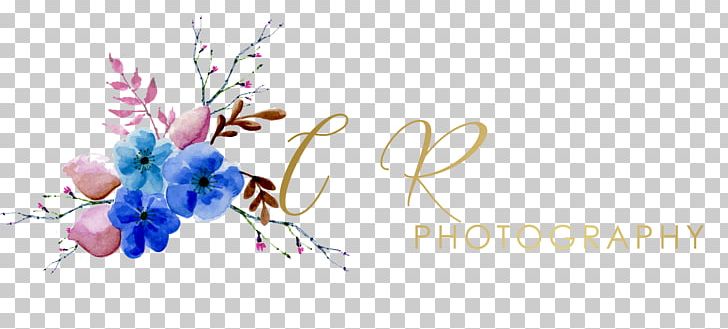 Floral Design Photography Graphic Designer PNG, Clipart, Artwork, Birthday, Birthday Celebration, Blossom, Branch Free PNG Download