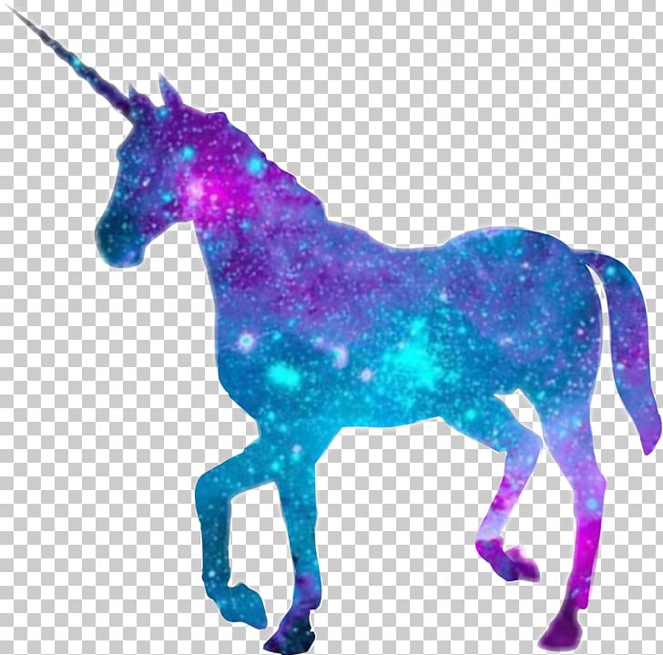 The Black Unicorn Horse Desktop PNG, Clipart, Animal Figure, Black, Black Unicorn, Desktop Wallpaper, Fantasy Free PNG Download