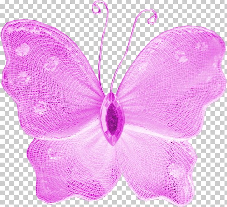 Butterfly Insect Lavender Lilac Violet PNG, Clipart, Butterflies And Moths, Butterfly, Insect, Insects, Invertebrate Free PNG Download