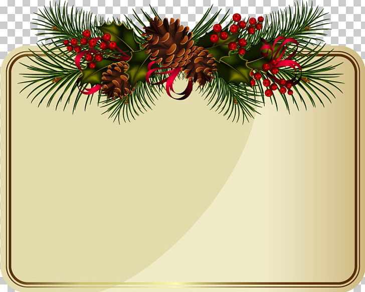 Conifer Cone Christmas Pine PNG, Clipart, Avatar Outline, Avatars, Branch, Branches, Christmas Decoration Free PNG Download
