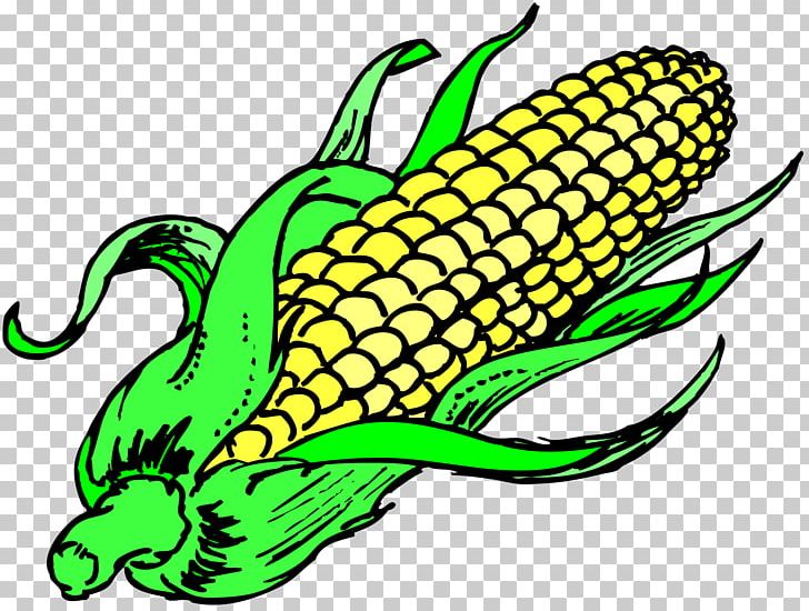 Corn On The Cob Popcorn Maize Sweet Corn Vegetable PNG, Clipart, Amphibian, Artwork, Commodity, Corn, Corn On The Cob Free PNG Download