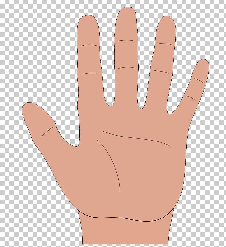 Hand Cartoon Arecaceae PNG, Clipart, Arecaceae, Arm, Cartoon, Drawing, Finger Free PNG Download