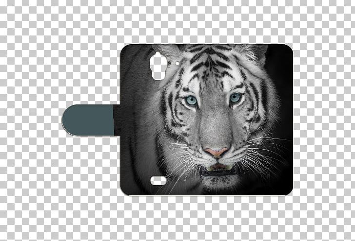Bengal Tiger Video Stock Photography White Tiger PNG, Clipart, Bengal Tiger, Big Cats, Carnivoran, Cat Like Mammal, Fur Free PNG Download