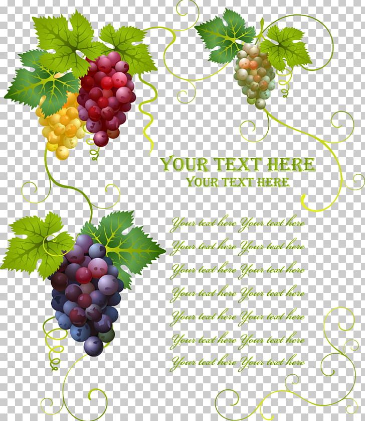 Wine Common Grape Vine Grape Leaves PNG, Clipart, Christmas Decoration, Decor, Decorative, Encapsulated Postscript, Food Free PNG Download
