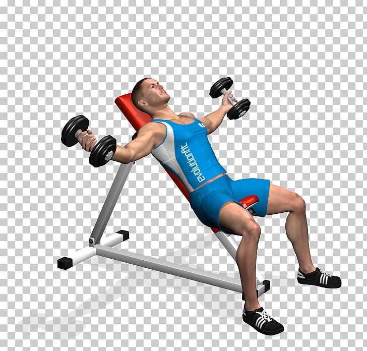 Fly Dumbbell Bench Exercise Weight Training PNG, Clipart, Arm, Barbell, Bench, Bench Press, Exercise Free PNG Download