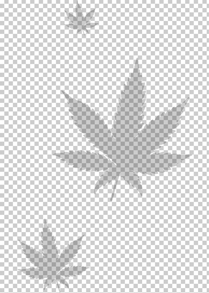 Medical Cannabis Kush PNG, Clipart, Black And White, Cannabis, Cannabis Ruderalis, Cannabis Sativa, Computer Wallpaper Free PNG Download