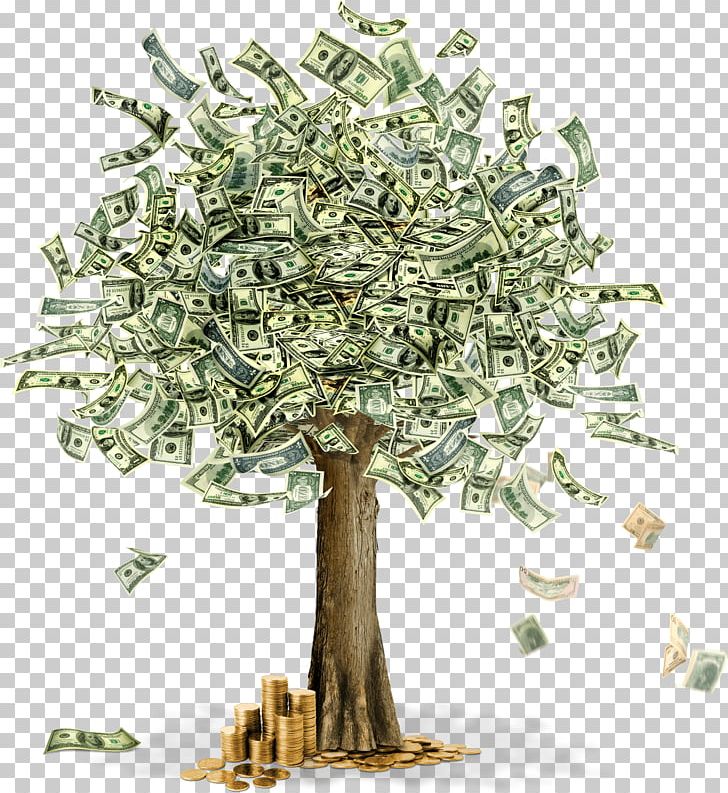 Moneytree PNG, Clipart, Australian Dollar, Bank, Banknote, Branch, Cash Free PNG Download