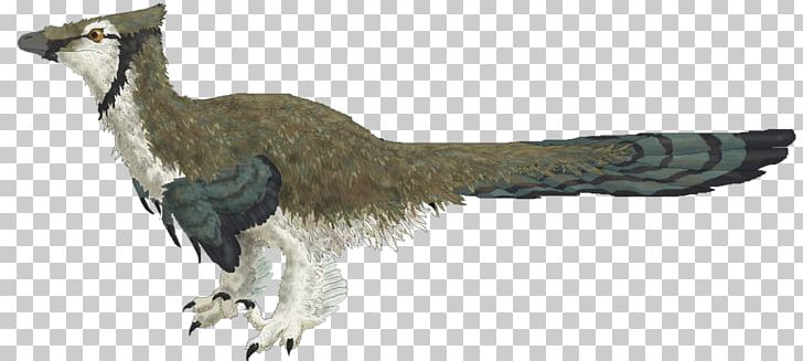 Galliformes Beak Feather Wildlife Tail PNG, Clipart, Animal, Animal Figure, Animals, Beak, Bird Free PNG Download