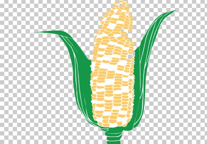 Off The Cob Snacks Maize Salt Tortilla Chip Corn On The Cob PNG, Clipart, Cereal, Commodity, Corn Kernel, Corn On The Cob, Corn Tortilla Free PNG Download