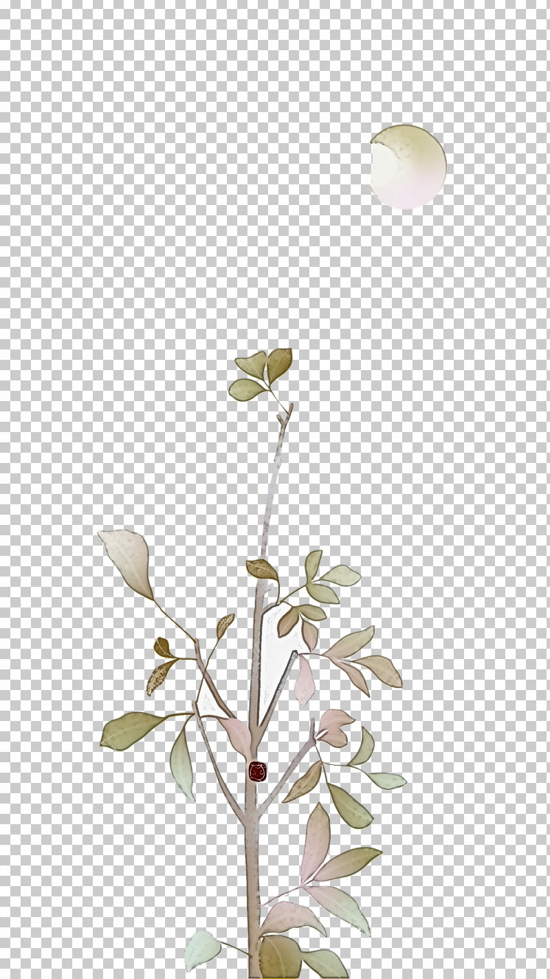 Plant Stem Cut Flowers Twig Petal Flora PNG, Clipart, Biology, Cut Flowers, Flora, Flower, Petal Free PNG Download