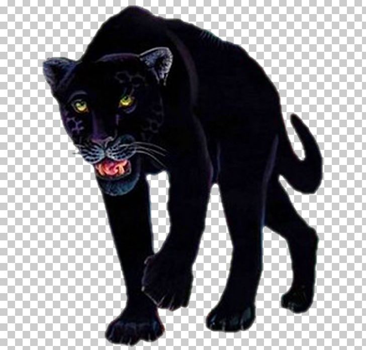 Black Panther Tiger Lion Leopard PNG, Clipart, Animal, Big Cats, Black,  Black Cat, Black Panther Free