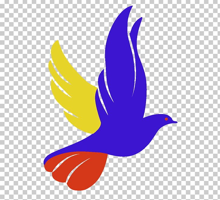 Columbidae Logo Doves As Symbols Drawing Png Clipart Beak Bird Brand Christian Church Christianity Free Png