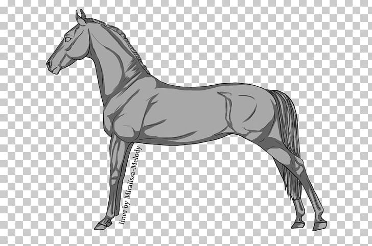 Horse Colt Pony Stallion Foal PNG, Clipart, Animals, Bit, Black And White, Bridle, Colt Free PNG Download