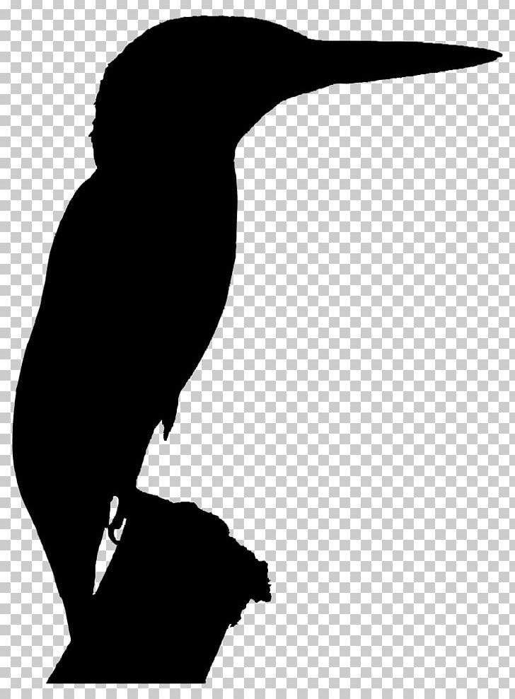 Silhouette Belted Kingfisher PNG, Clipart, Animals, Beak, Belted Kingfisher, Bird, Black Free PNG Download