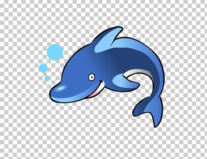 Dolphin Free Content PNG, Clipart, Animals, Balloon Cartoon, Blog, Blue, Bottlenose Dolphin Free PNG Download