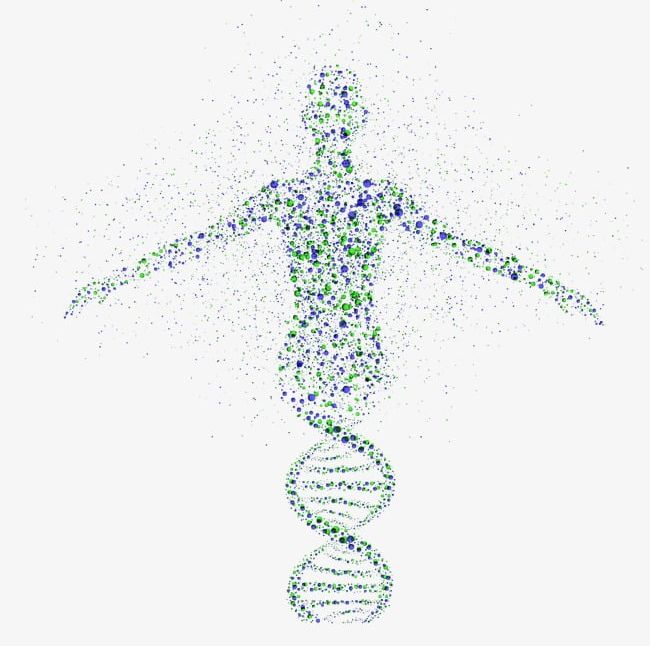 Gene PNG, Clipart, Biology, Cell, Character, Dna, Dna Genetic Free PNG Download