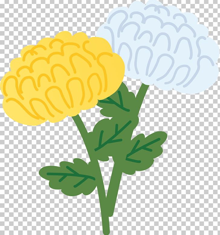 Higan Chrysanthemum ×grandiflorum 法要 Flower 年忌 PNG, Clipart, Ancestor, Bon Festival, Butsudan, Chrysanthemum, Chrysanthemum Grandiflorum Free PNG Download