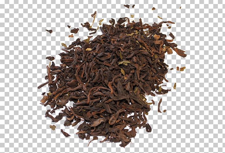 Oolong Green Tea Nilgiri Tea White Tea PNG, Clipart, Assam Tea, Bai Mudan, Bancha, Biluochun, Black Tea Free PNG Download