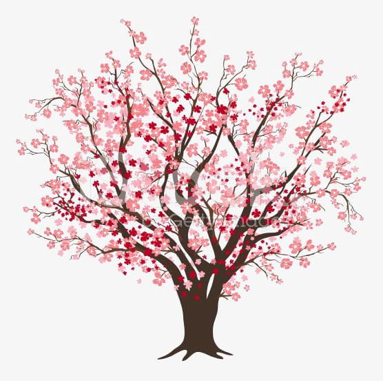 Cartoon Cherry Tree PNG, Clipart, Blooming, Blooming Cherry Tree