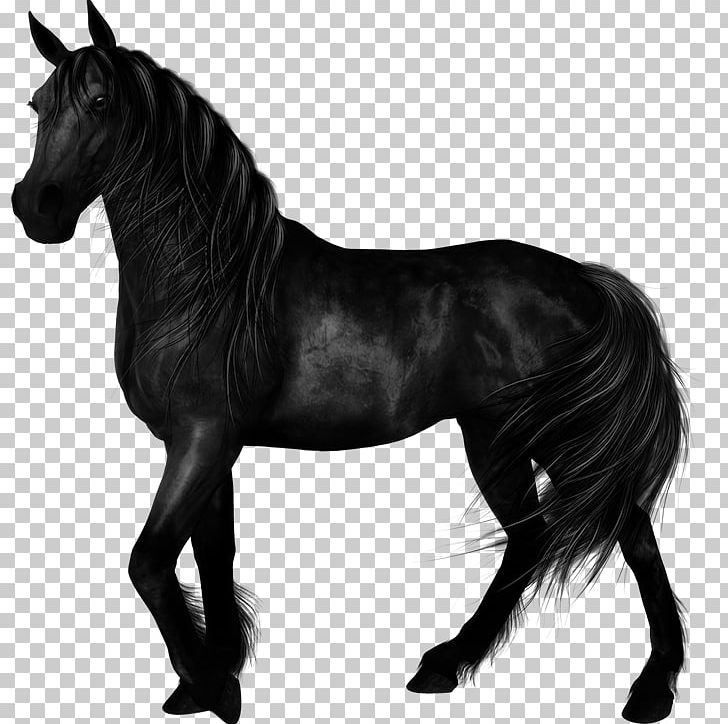 Stallion Mustang Arabian Horse Foal Mare PNG, Clipart, Animal, Arabian Horse, Black, Black And White, Black Horse Free PNG Download