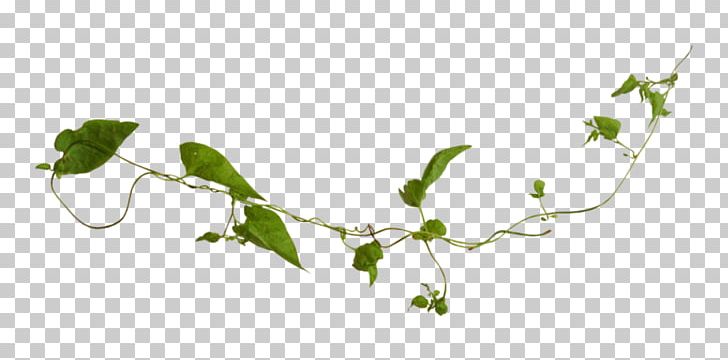 Twig Leaf Branch Plant Stem PNG, Clipart, Branch, Butterfly, Download, Flora, Flower Free PNG Download