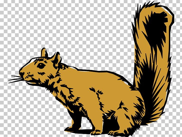 Squirrel PNG, Clipart, Animal, Animals, Animation, Arctic Ground Squirrel, Beaver Free PNG Download