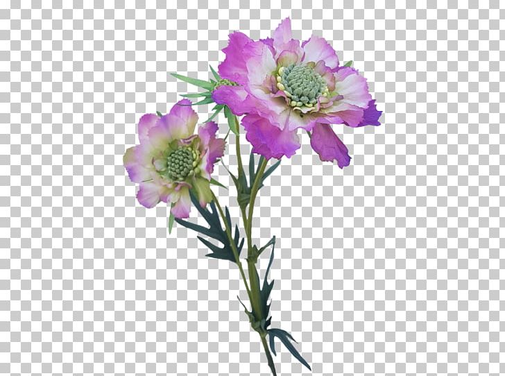 Cabbage Rose Cut Flowers Petal Plant Stem Family PNG, Clipart, Cut Flowers, Family, Family Film, Flower, Flowering Plant Free PNG Download