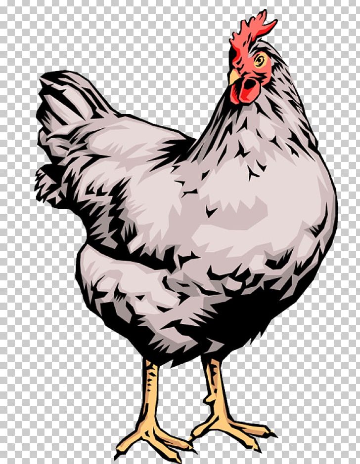 Chicken Egg Hen Chirping Chicks Rooster PNG, Clipart, Animals, Art, Beak, Bird, Chicken Free PNG Download