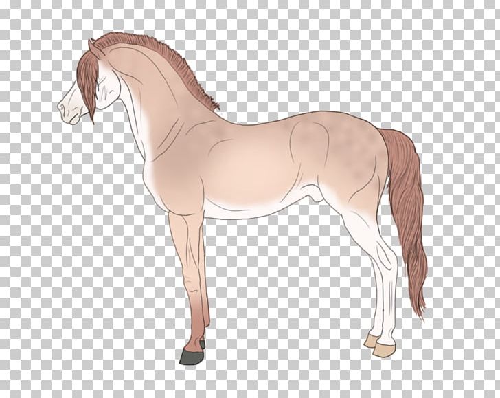 Foal Mane Stallion Mare Colt PNG, Clipart,  Free PNG Download