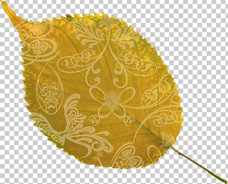 Leaf Autumn Flower Red PNG, Clipart, Autumn, Autumn Leaves, Flower, Leaf, Nature Free PNG Download