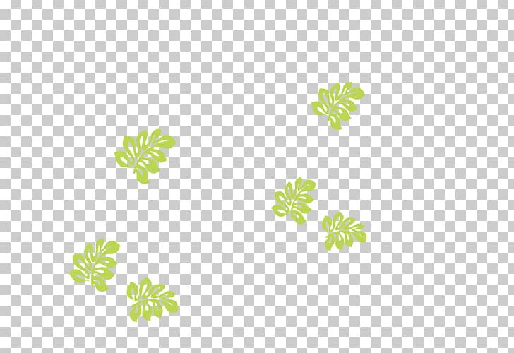 Line Font Pattern Leaf Flowering Plant PNG, Clipart, Flora, Flower, Flowering Plant, Grass, Green Free PNG Download